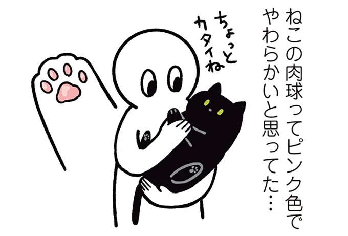 ピンク色じゃない...猫初心者だった飼い主が驚いた黒猫の個性/黒猫ろんと暮らしたら2