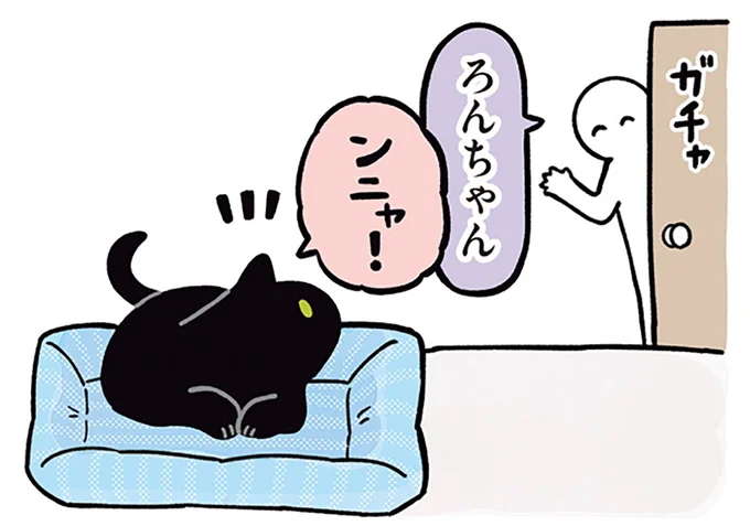 飼い主が週一で涙ぐむ「猫の写真」。その内容は...共感できる?/黒猫ろんと暮らしたら2