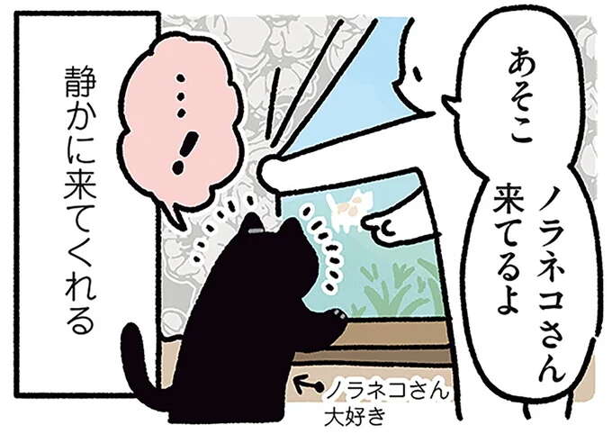 猫が寄ってくる時のこと。あれ、呼ぶ声のテンションに合わせてる...？／黒猫ろんと暮らしたら4