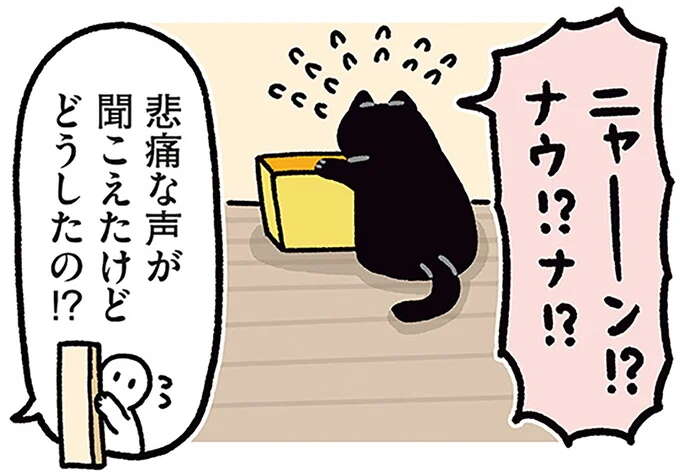 どうしたの!? 猫の「悲痛な声」。なんていじらしいの...!/黒猫ろんと暮らしたら4