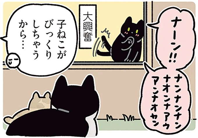 ナーッ!? 嬉しくて猫が大興奮! 大好きなノラネコさんが赤ちゃんを連れてきた/黒猫ろんと暮らしたら5