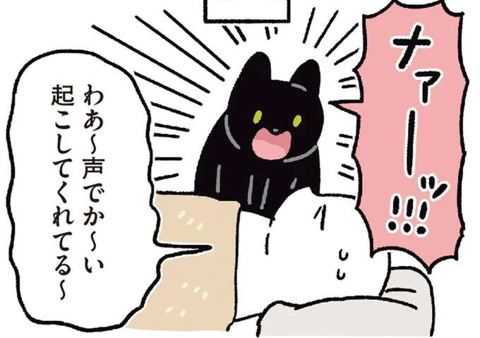 「明日の朝起こしてね」猫に飼い主のお願い。えっ、そこまでするの...!/黒猫ろんと暮らしたら6