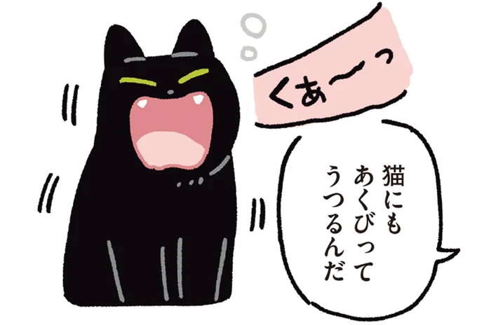あくびってん猫にもうつるの...? ことごとく飼い主のまねっこをする猫/黒猫ろんと暮らしたら6