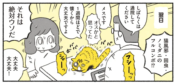 『茶トラのやっちゃん1〜3』