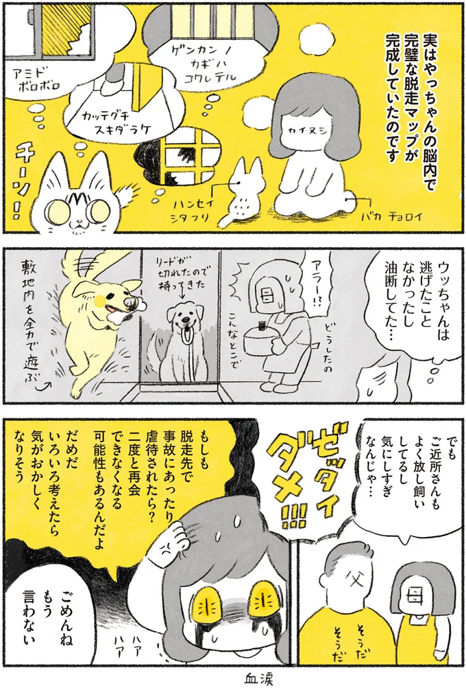 『茶トラのやっちゃん1〜3』 browntabbycat10_2.webp