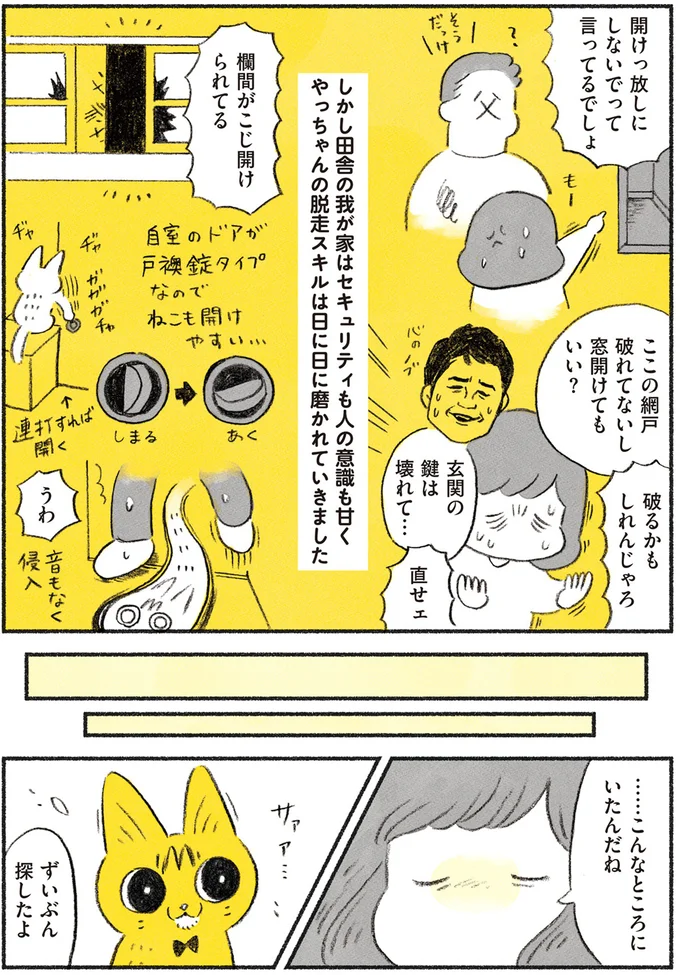 『茶トラのやっちゃん1〜3』 browntabbycat10_3.webp