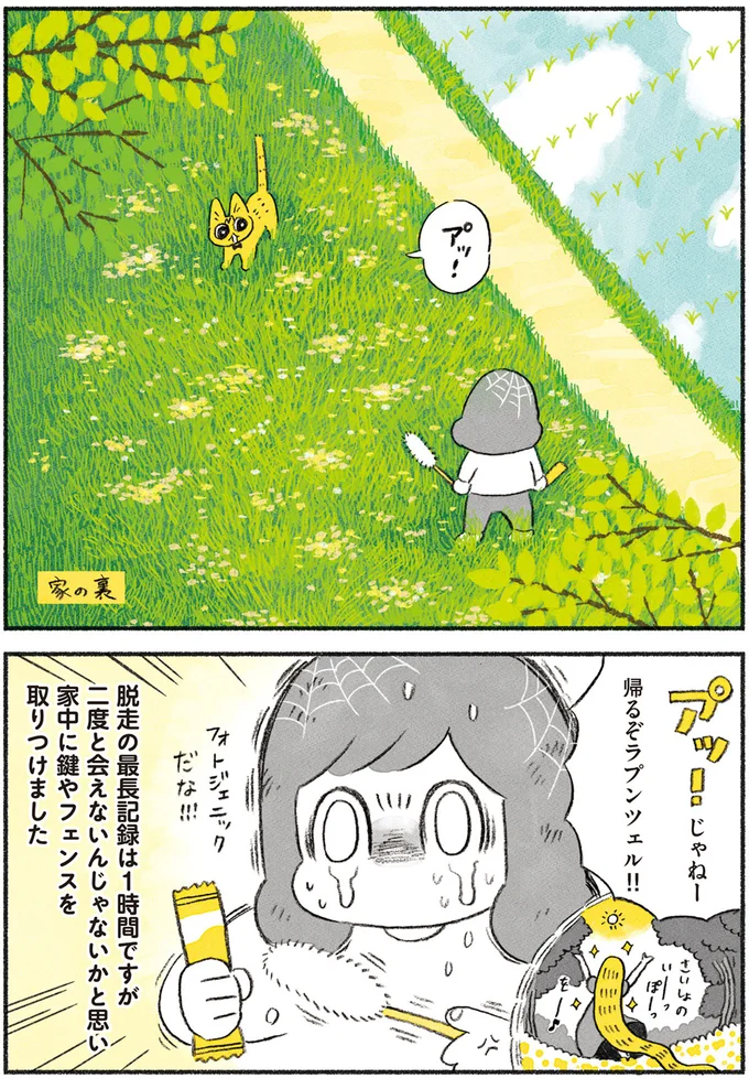 『茶トラのやっちゃん1〜3』 browntabbycat10_4.webp