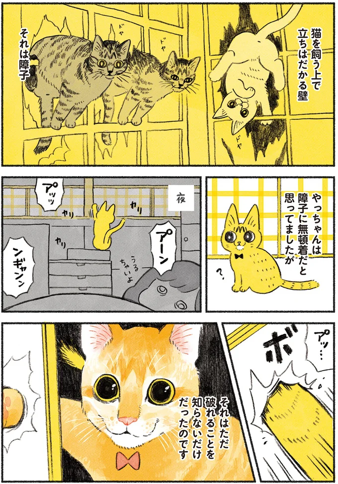 『茶トラのやっちゃん1〜3』 browntabbycat11_1.webp