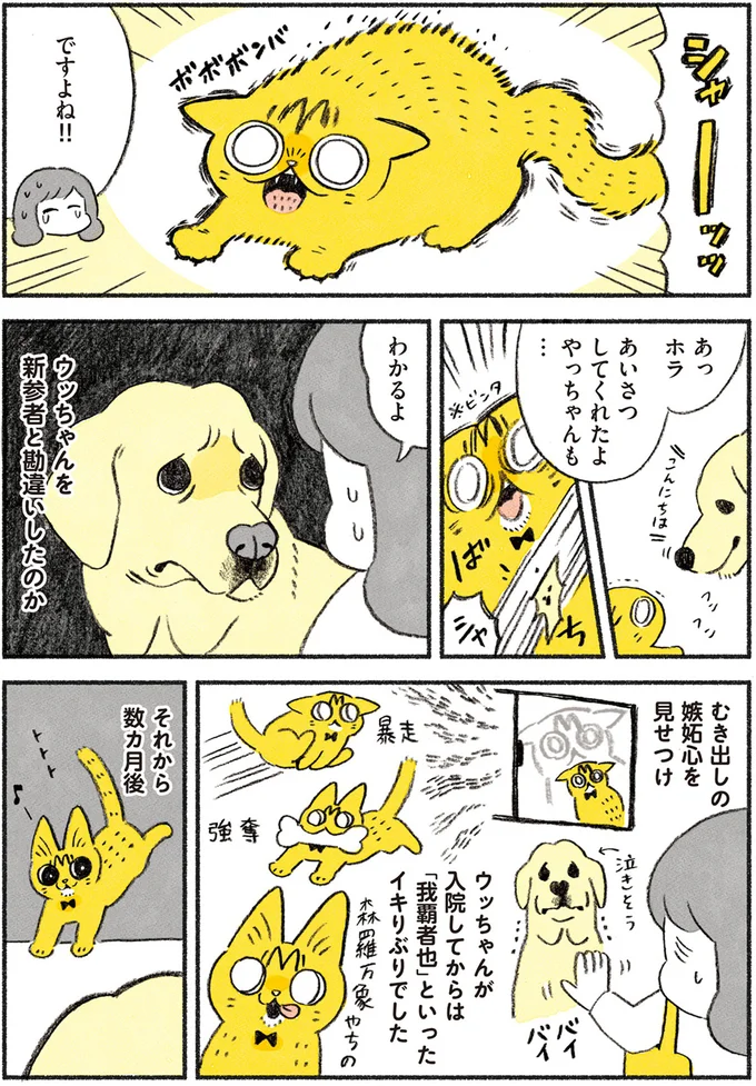 『茶トラのやっちゃん1〜3』 browntabbycat12_2.webp