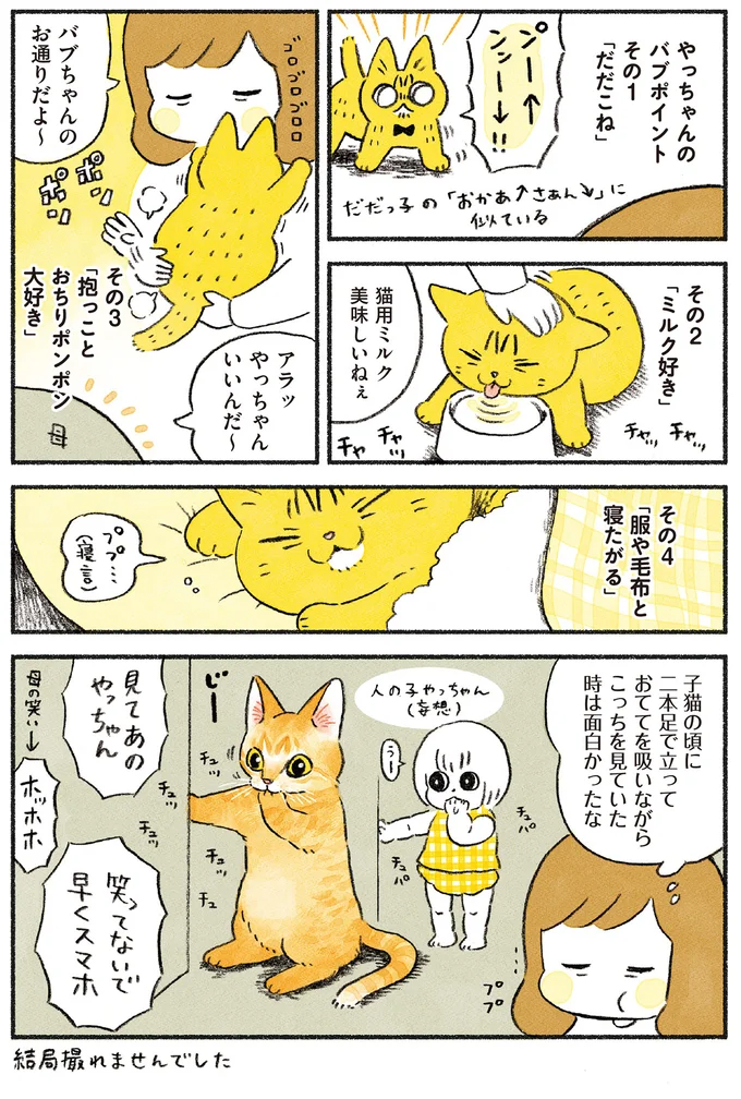 『茶トラのやっちゃん1〜3』 browntabbycat13_2.webp