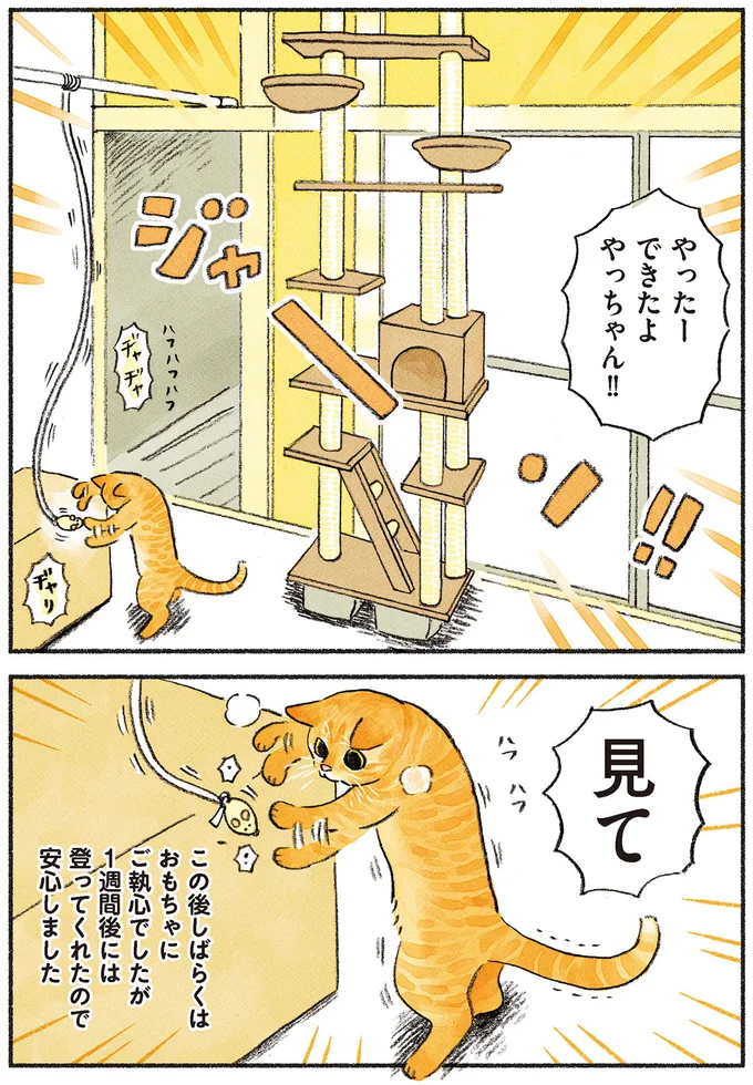 『茶トラのやっちゃん1〜3』 browntabbycat14_3.webp