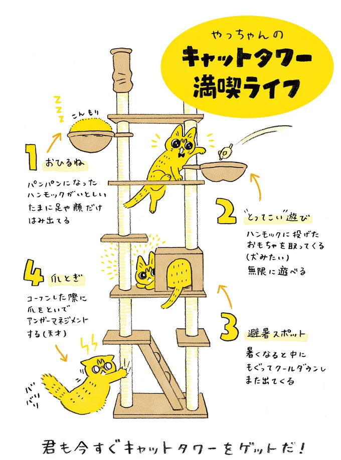 『茶トラのやっちゃん1〜3』 browntabbycat14_4.webp