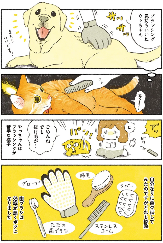 『茶トラのやっちゃん1〜3』 browntabbycat15_1.webp