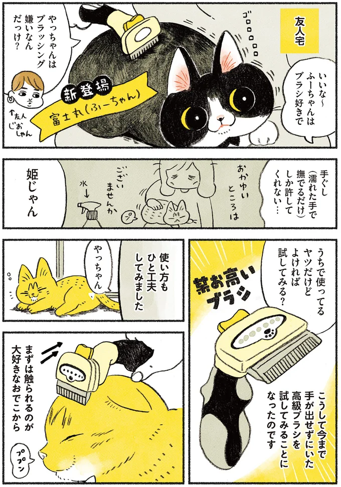 『茶トラのやっちゃん1〜3』 browntabbycat15_2.webp