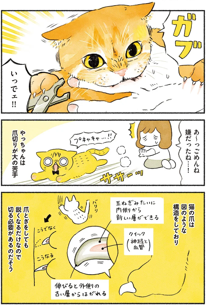『茶トラのやっちゃん1〜3』 browntabbycat16_1.webp