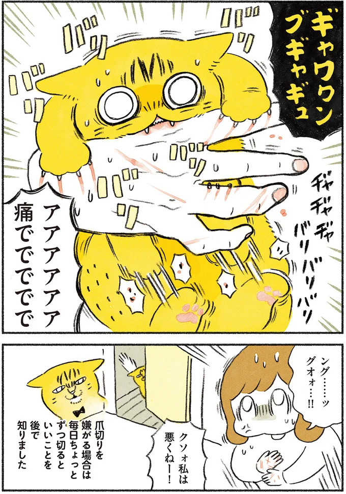 『茶トラのやっちゃん1〜3』 browntabbycat16_4.webp