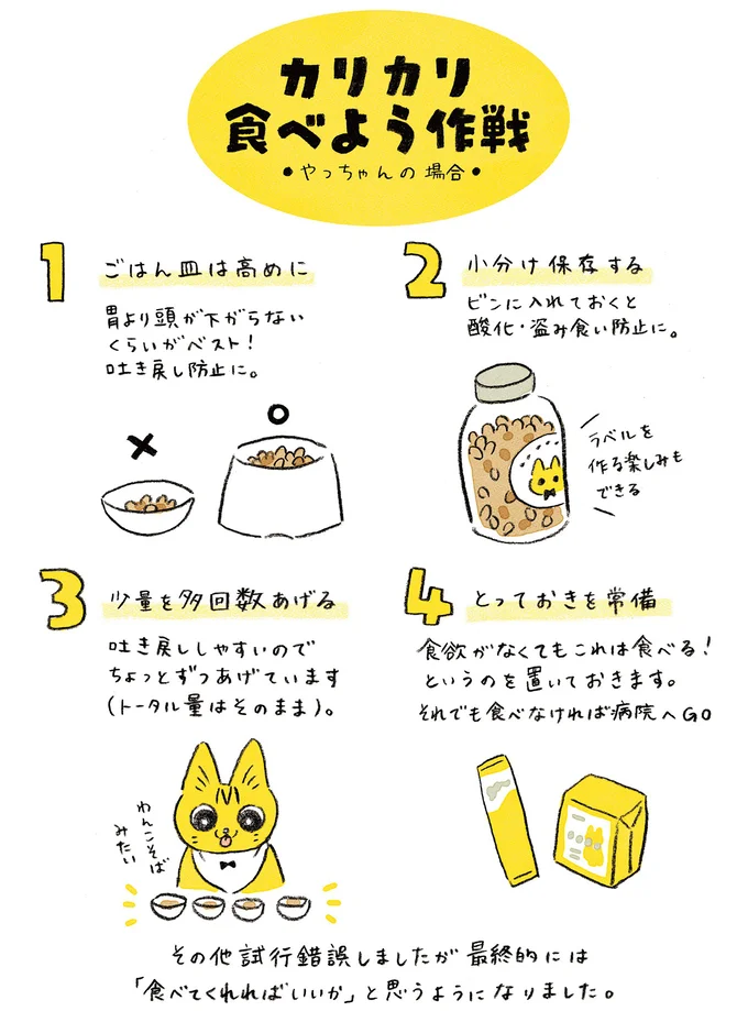 『茶トラのやっちゃん1〜3』 browntabbycat17_4.webp