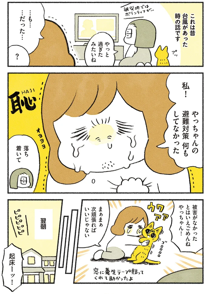 『茶トラのやっちゃん1〜3』 browntabbycat18_1.webp