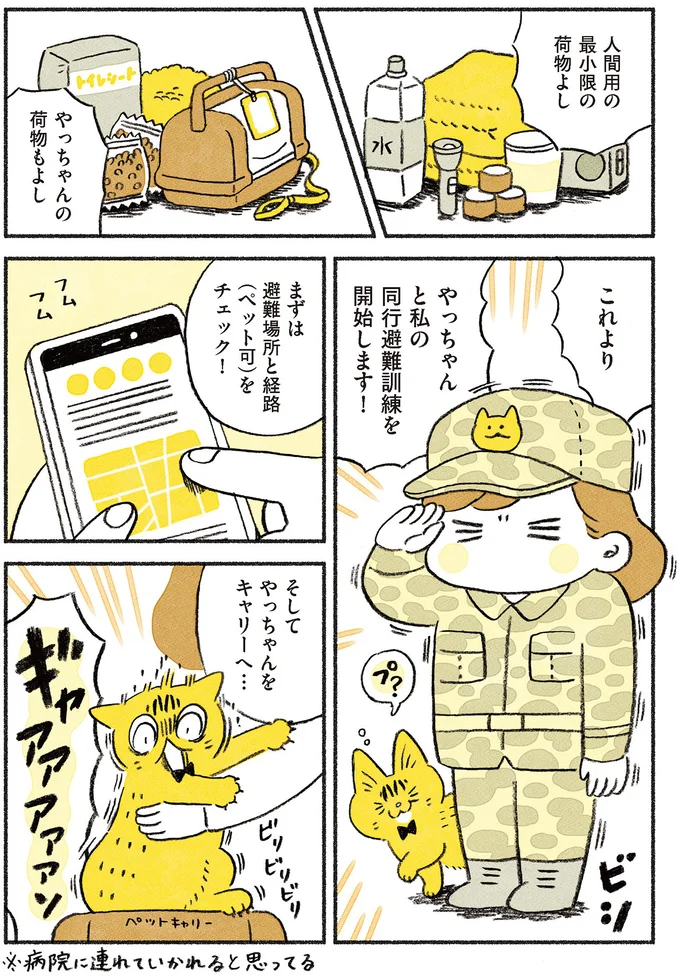 『茶トラのやっちゃん1〜3』 browntabbycat18_2.webp