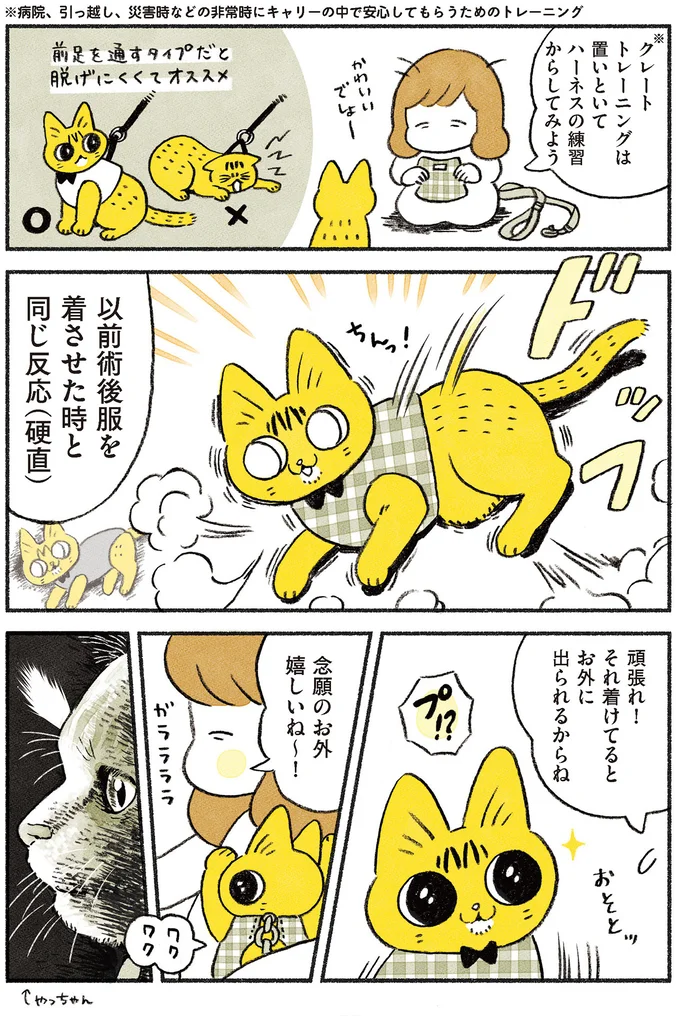 『茶トラのやっちゃん1〜3』 browntabbycat18_3.webp