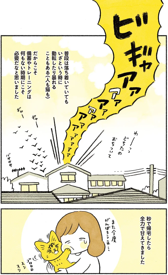 『茶トラのやっちゃん1〜3』 browntabbycat18_4.webp