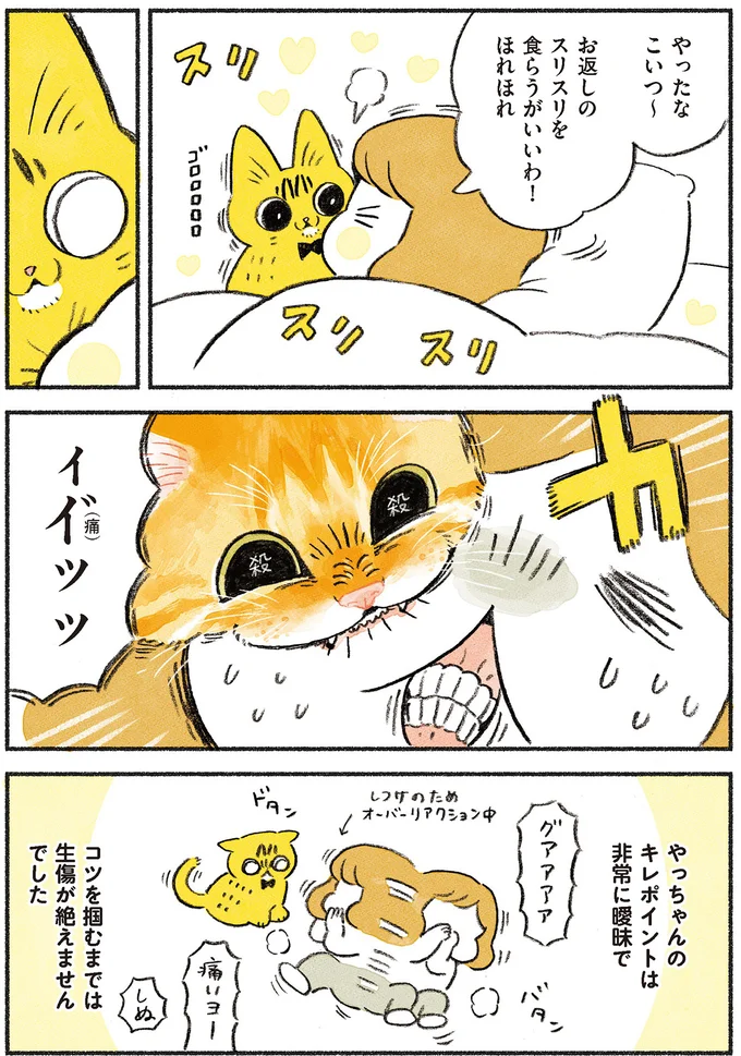 『茶トラのやっちゃん1〜3』 browntabbycat19_2.webp