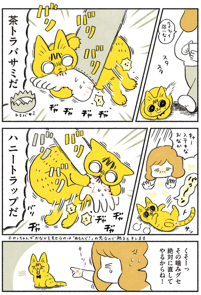『茶トラのやっちゃん1〜3』 browntabbycat19_3.webp