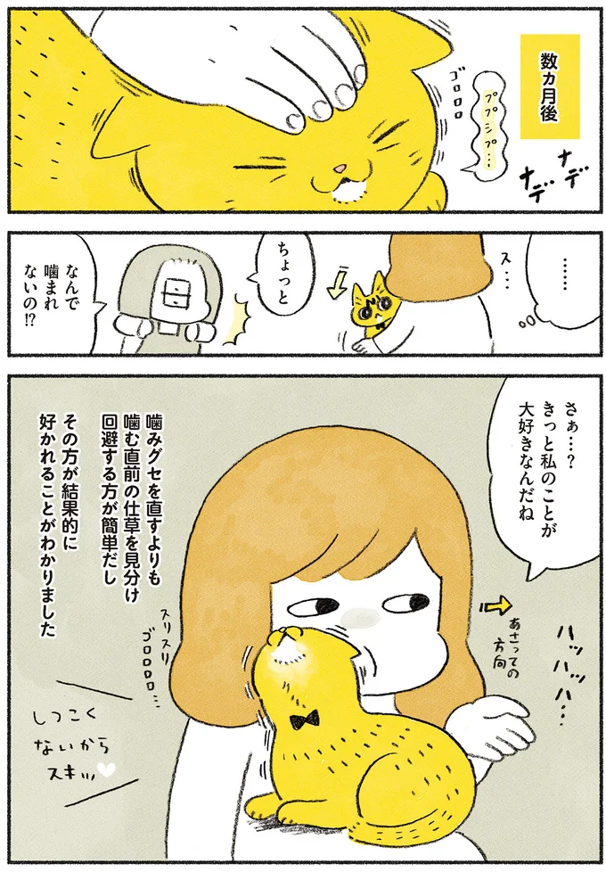 『茶トラのやっちゃん1〜3』 browntabbycat19_4.webp