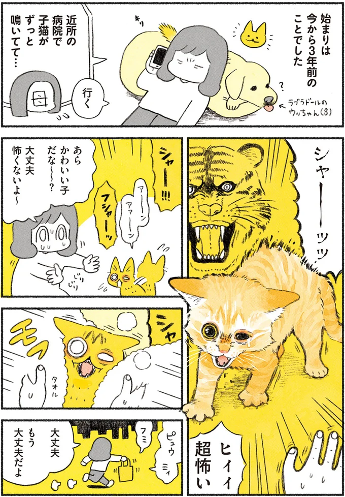 『茶トラのやっちゃん1〜3』 browntabbycat1_1.webp