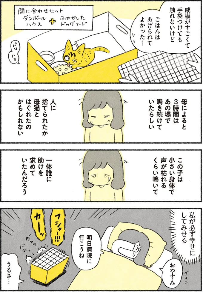 『茶トラのやっちゃん1〜3』 browntabbycat1_2.webp