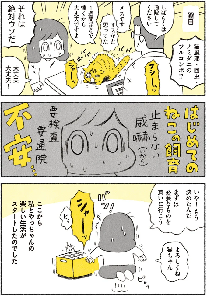『茶トラのやっちゃん1〜3』 browntabbycat1_3.webp