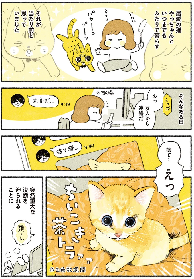 『茶トラのやっちゃん1〜3』 browntabbycat20_1.webp