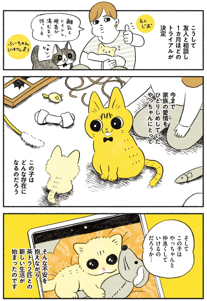 『茶トラのやっちゃん1〜3』 browntabbycat20_3.webp