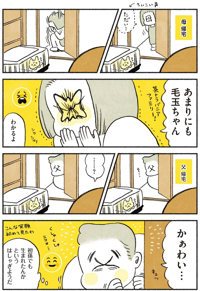『茶トラのやっちゃん1〜3』 browntabbycat21_3.webp