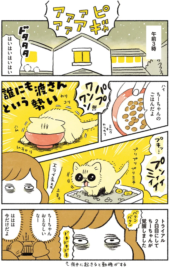 『茶トラのやっちゃん1〜3』 browntabbycat22_1.webp