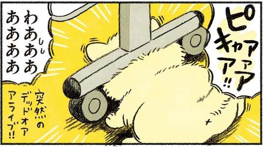 我が家に迎えた「捨て猫」。最初は大人しかったが、2日目に覚醒し...！／茶トラのやっちゃん2