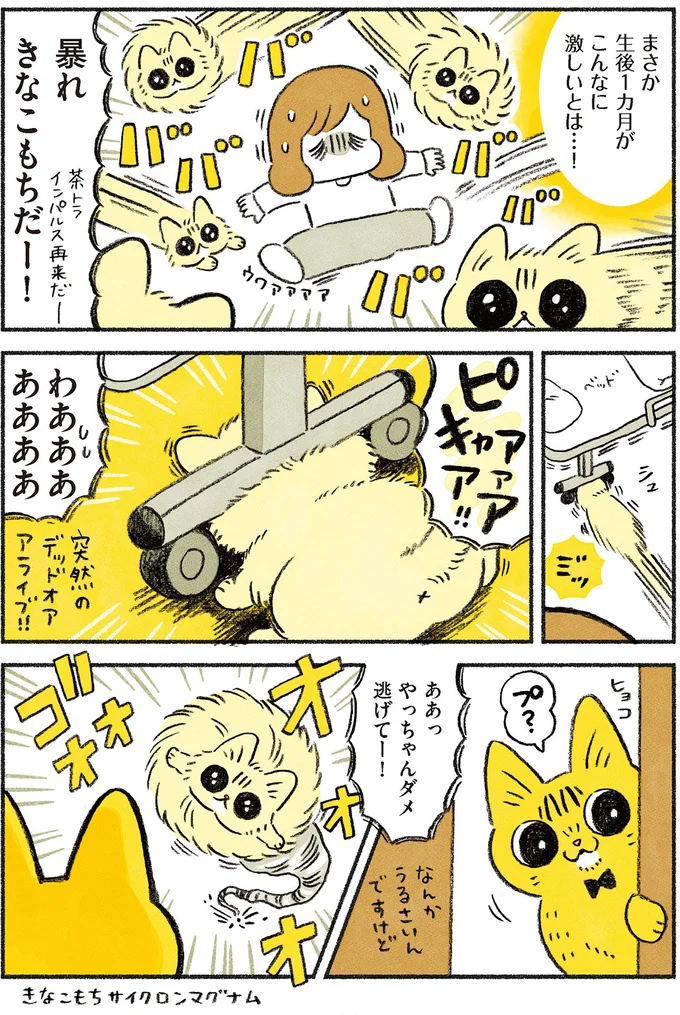 『茶トラのやっちゃん1〜3』 browntabbycat22_2.webp