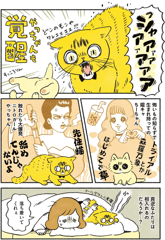 『茶トラのやっちゃん1〜3』 browntabbycat22_3.webp