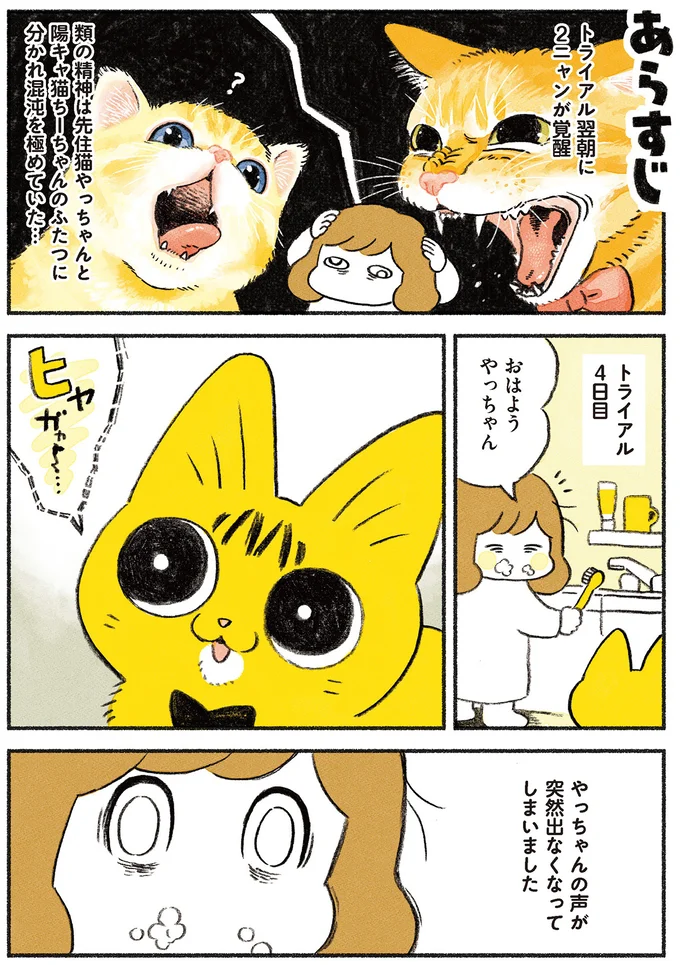 『茶トラのやっちゃん1〜3』 browntabbycat23_1.webp