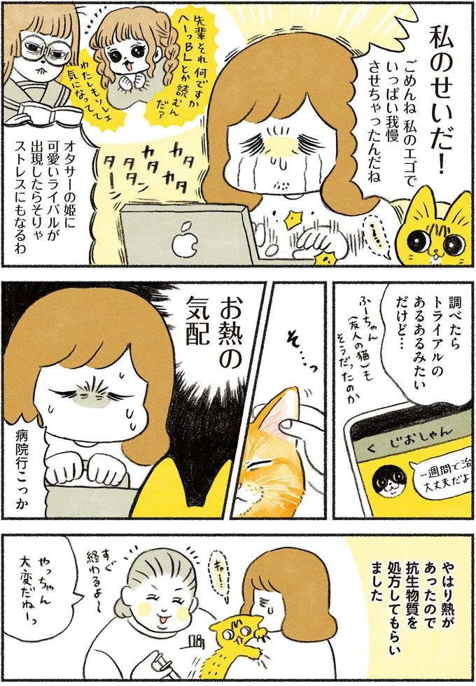 『茶トラのやっちゃん1〜3』 browntabbycat23_2.webp