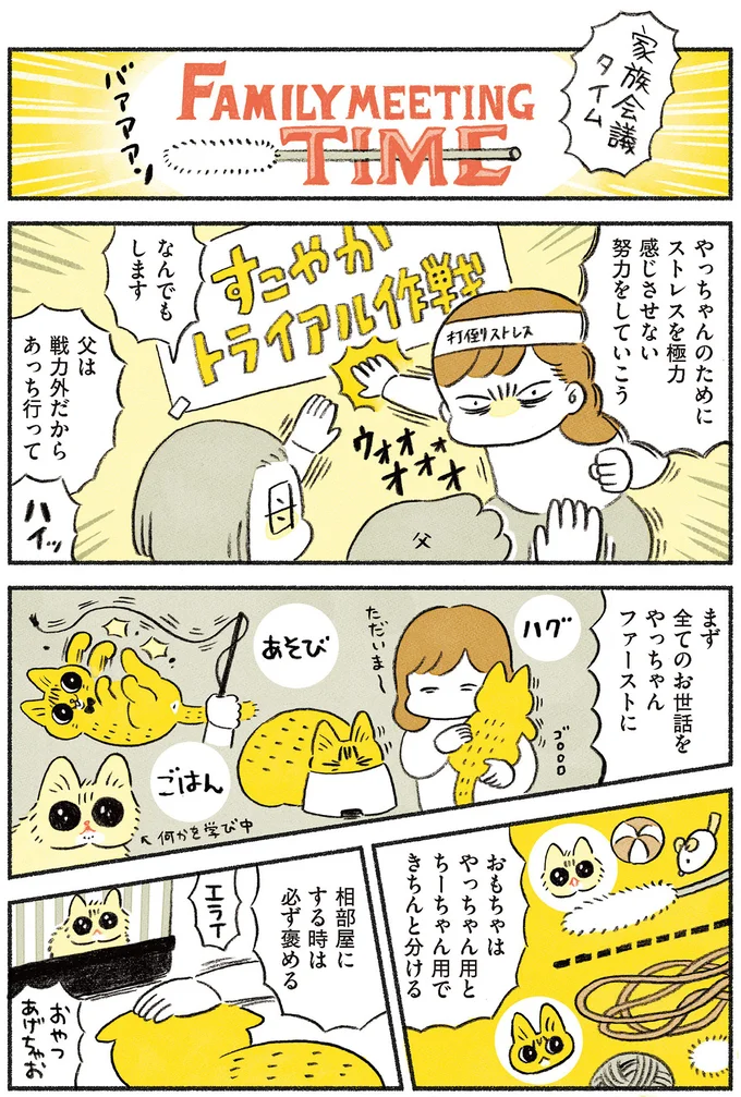 『茶トラのやっちゃん1〜3』 browntabbycat23_3.webp