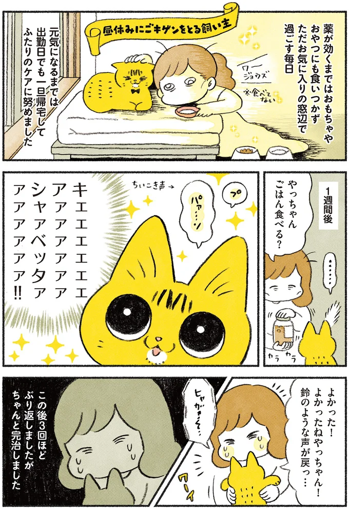 『茶トラのやっちゃん1〜3』 browntabbycat23_4.webp