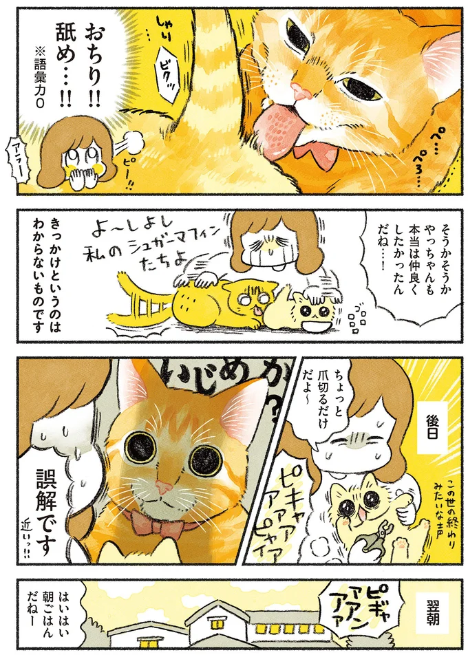 『茶トラのやっちゃん1〜3』 browntabbycat24_3.webp