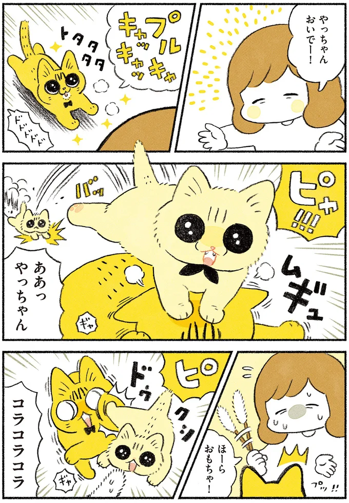『茶トラのやっちゃん1〜3』 browntabbycat25_1.webp