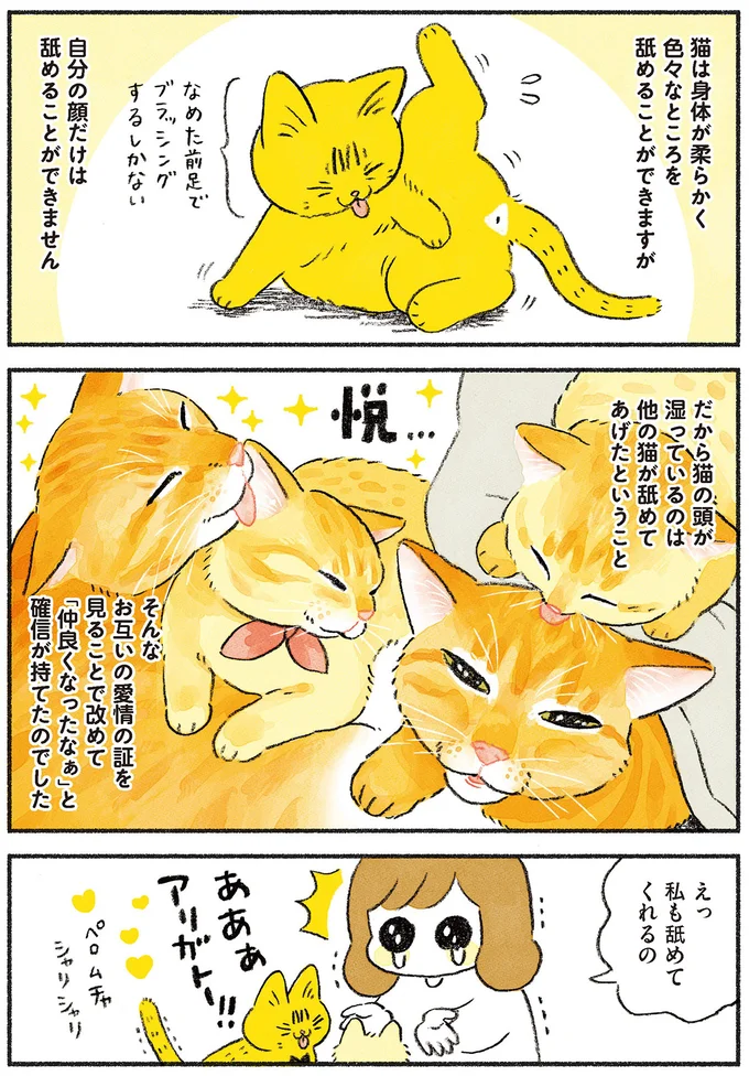 『茶トラのやっちゃん1〜3』 browntabbycat26_3.webp