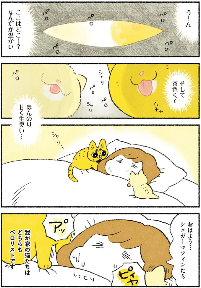 『茶トラのやっちゃん1〜3』 browntabbycat27_1.webp