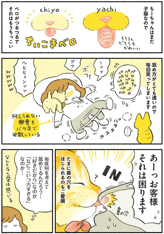 『茶トラのやっちゃん1〜3』 browntabbycat27_2.webp