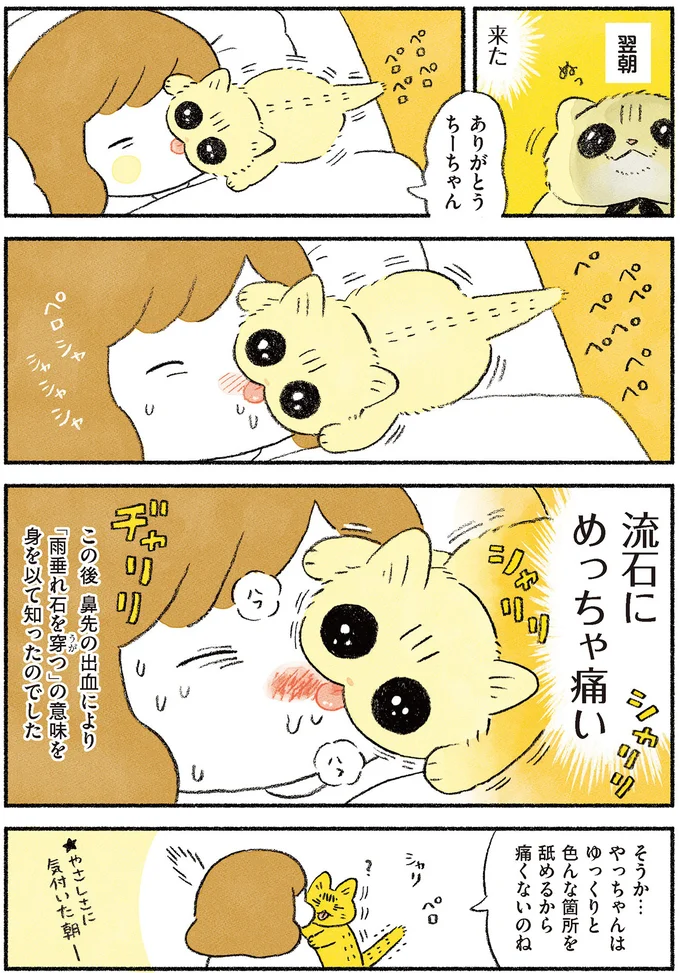 『茶トラのやっちゃん1〜3』 browntabbycat27_3.webp