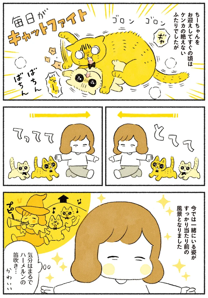 『茶トラのやっちゃん1〜3』 browntabbycat28_1.webp