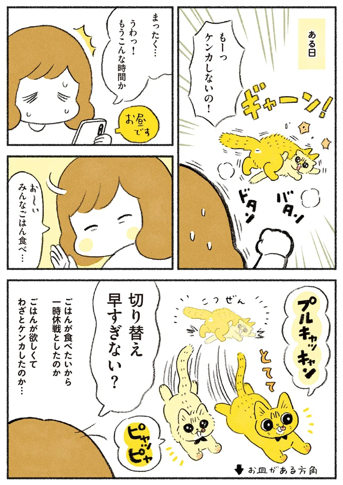 『茶トラのやっちゃん1〜3』 browntabbycat28_2.webp